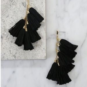 ettika Daydreamer Tassel Earring's